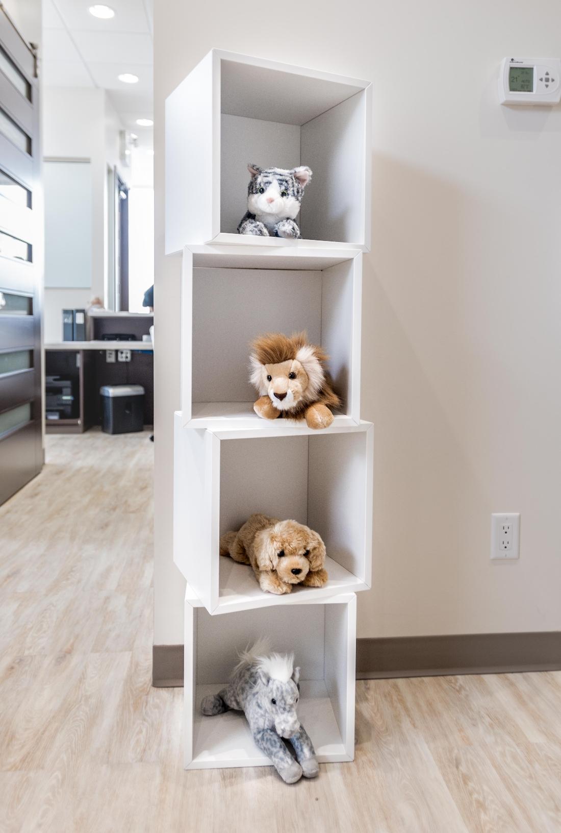 Kids Plush Toys Kids Plush Toys on shelves | Orchards Dental